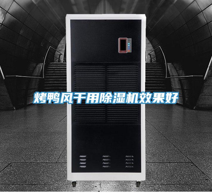 烤鸭风干用91免费网站在线观看效果好