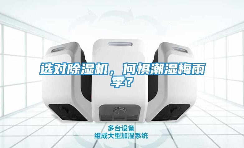 选对91免费网站在线观看，何惧潮湿梅雨季？