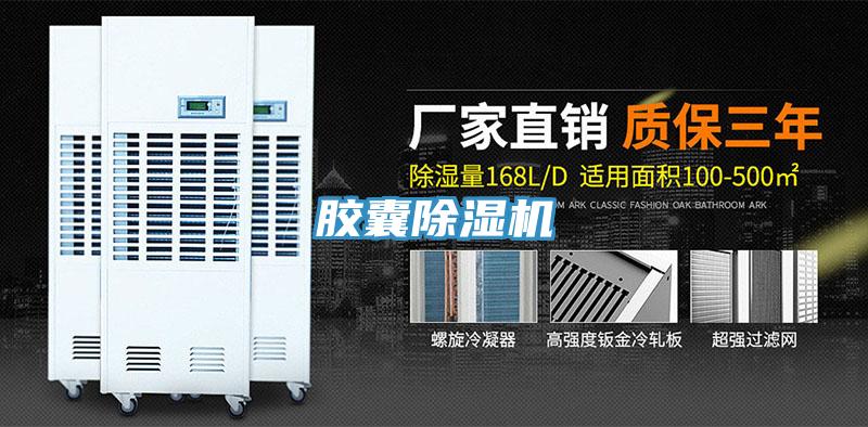 胶囊91免费网站在线观看