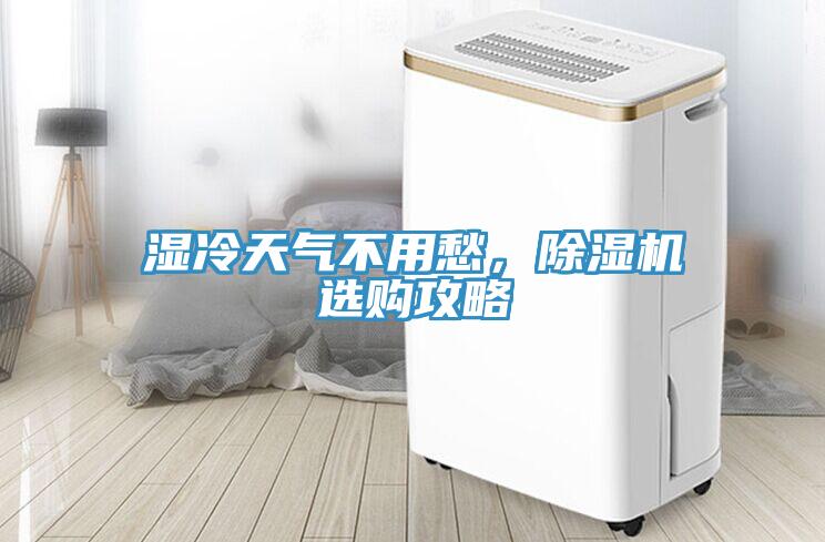 湿冷天气不用愁，91免费网站在线观看选购攻略