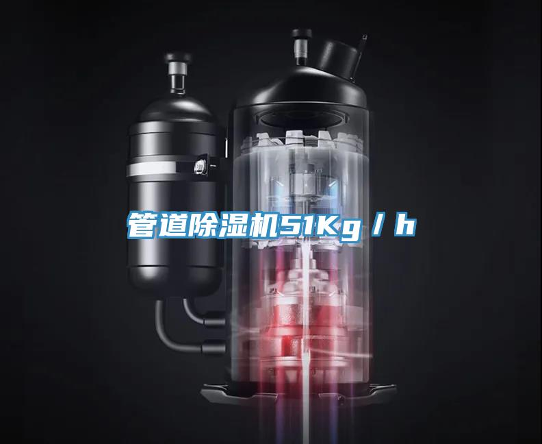 管道91免费网站在线观看51Kg／h
