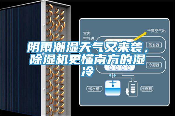 阴雨潮湿天气又来袭，91免费网站在线观看更懂南方的湿冷