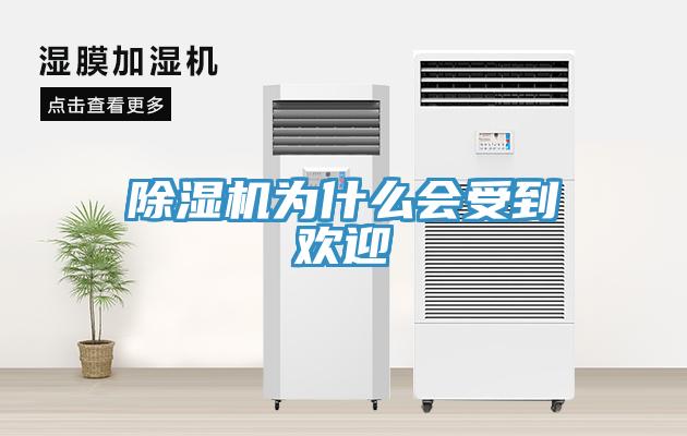 91免费网站在线观看为什么会受到欢迎