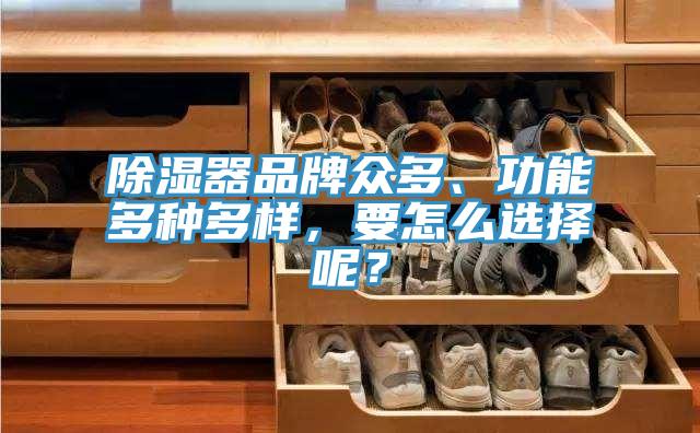 除湿器品牌众多、功能多种多样，要怎么选择呢？