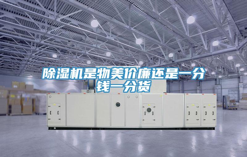 91免费网站在线观看是物美价廉还是一分钱一分货