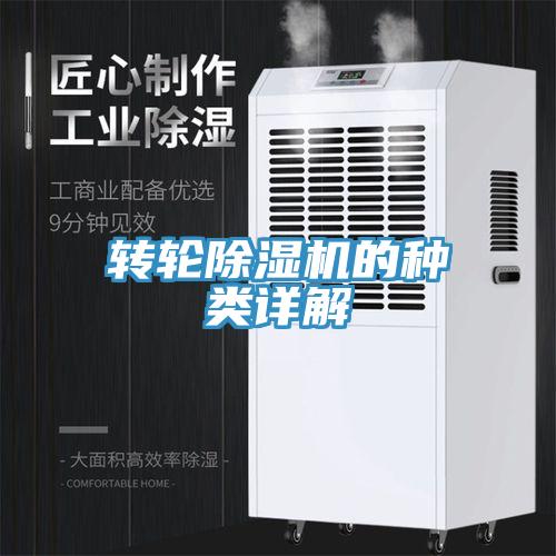转轮91免费网站在线观看的种类详解