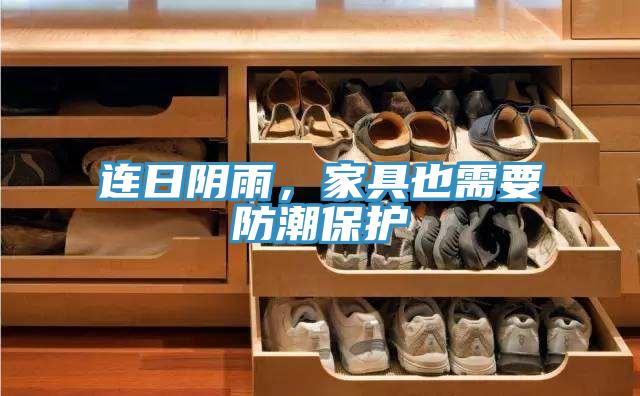 连日阴雨，家具也需要防潮保护