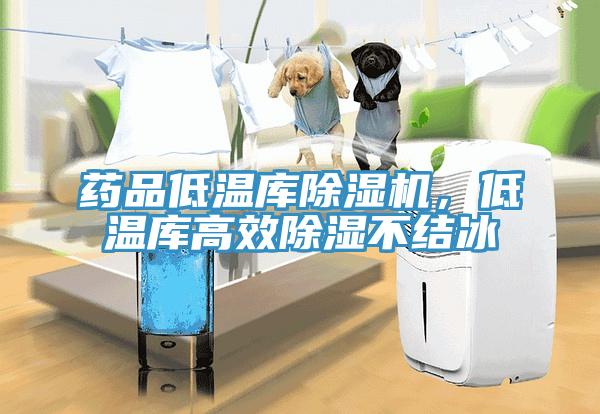 药品低温库91免费网站在线观看，低温库高效除湿不结冰