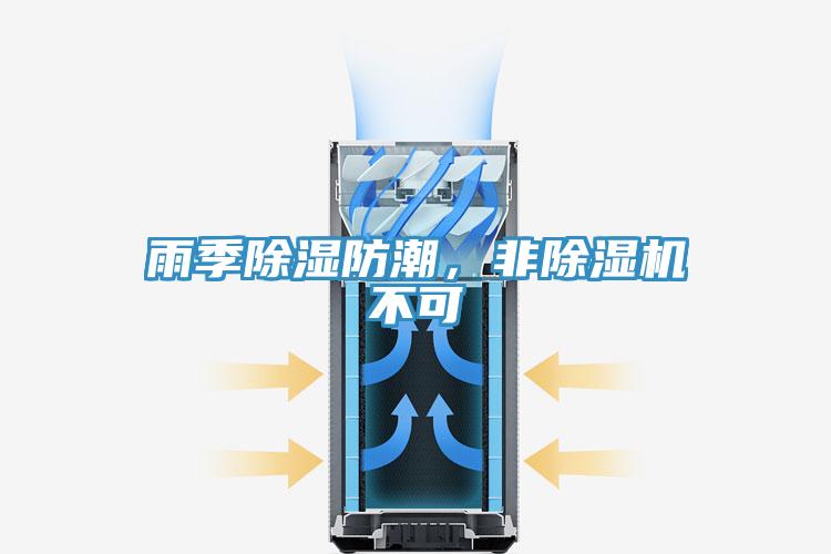 雨季除湿防潮，非91免费网站在线观看不可