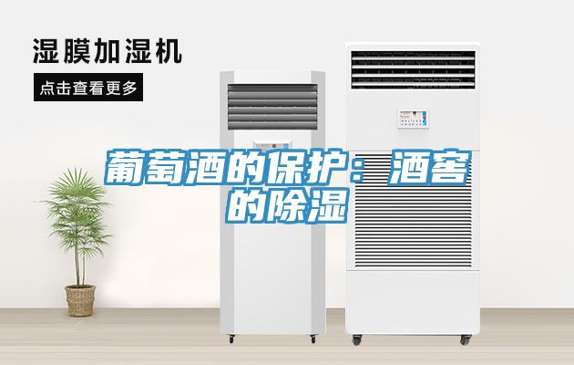 葡萄酒的保护：酒窖的除湿