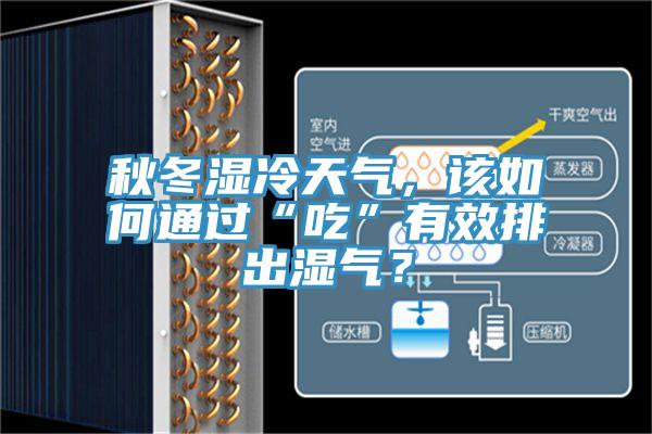秋冬湿冷天气，该如何通过“吃”有效排出湿气？