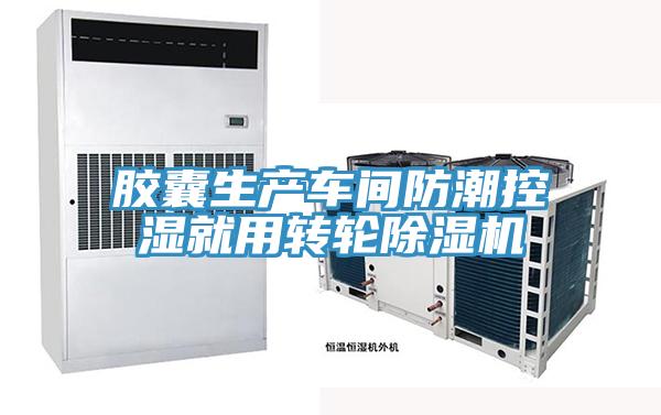 胶囊生产车间防潮控湿就用转轮91免费网站在线观看