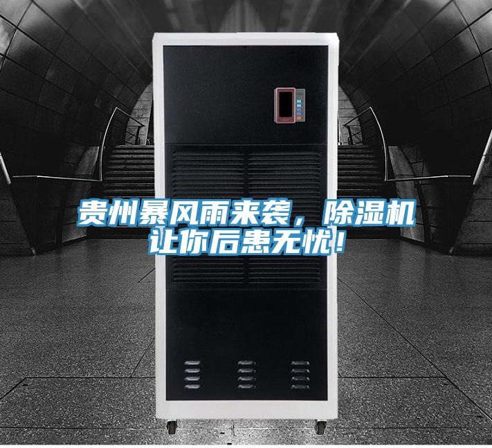 贵州暴风雨来袭，91免费网站在线观看让你后患无忧！