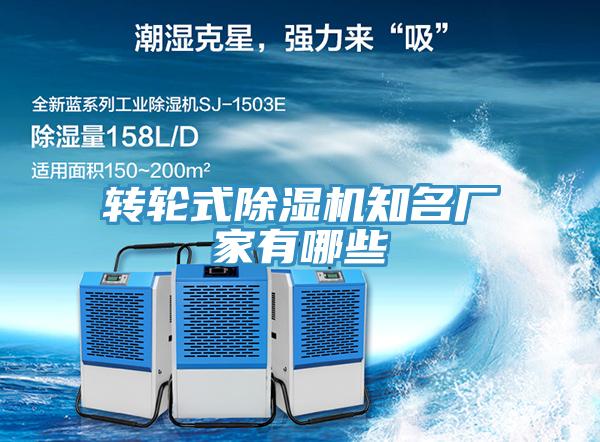 转轮式91免费网站在线观看知名厂家有哪些