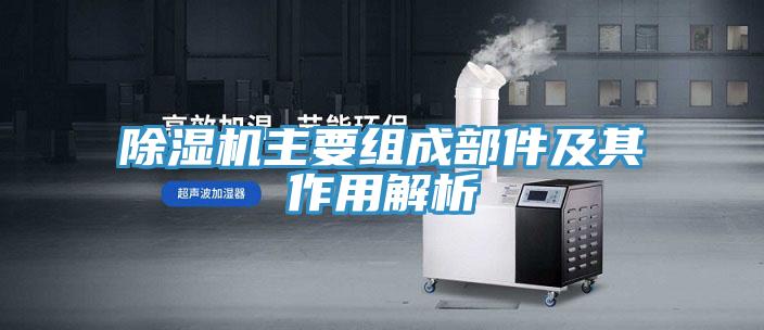 91免费网站在线观看主要组成部件及其作用解析