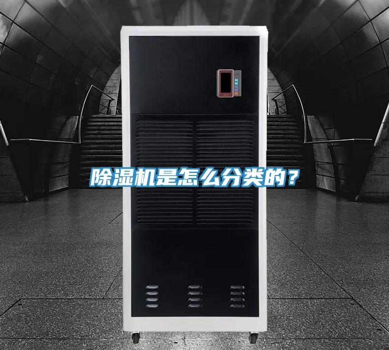 91免费网站在线观看是怎么分类的？