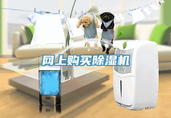 网上购买91免费网站在线观看