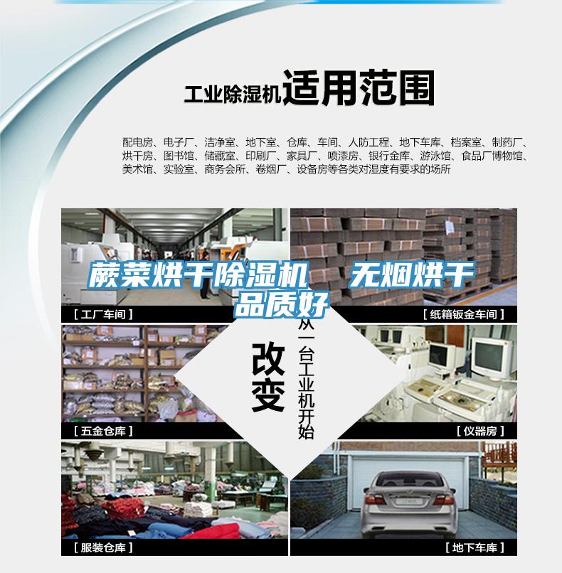 蕨菜烘干91免费网站在线观看  无烟烘干品质好
