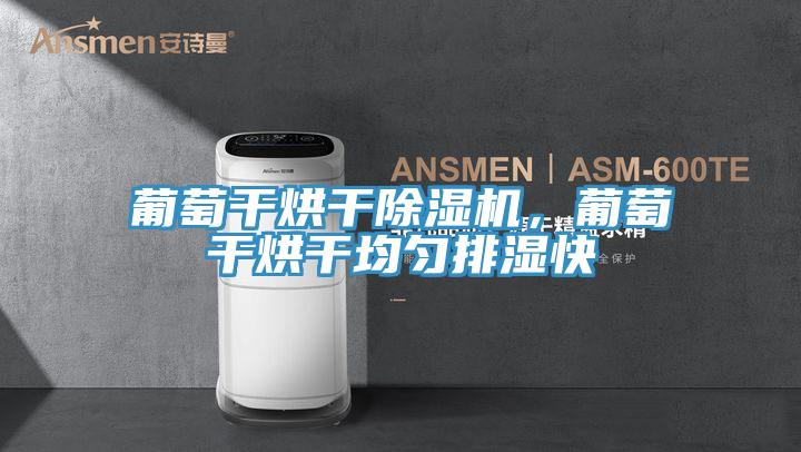 葡萄干烘干91免费网站在线观看，葡萄干烘干均匀排湿快