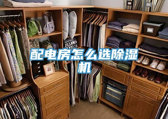 配电房怎么选91免费网站在线观看