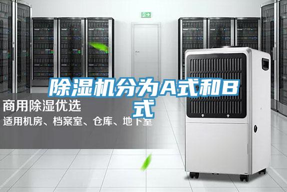 91免费网站在线观看分为A式和B式