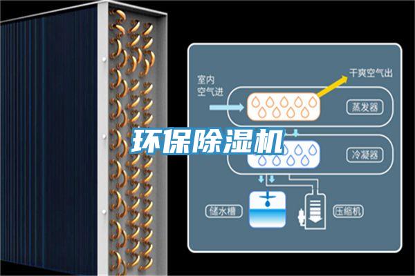 环保91免费网站在线观看