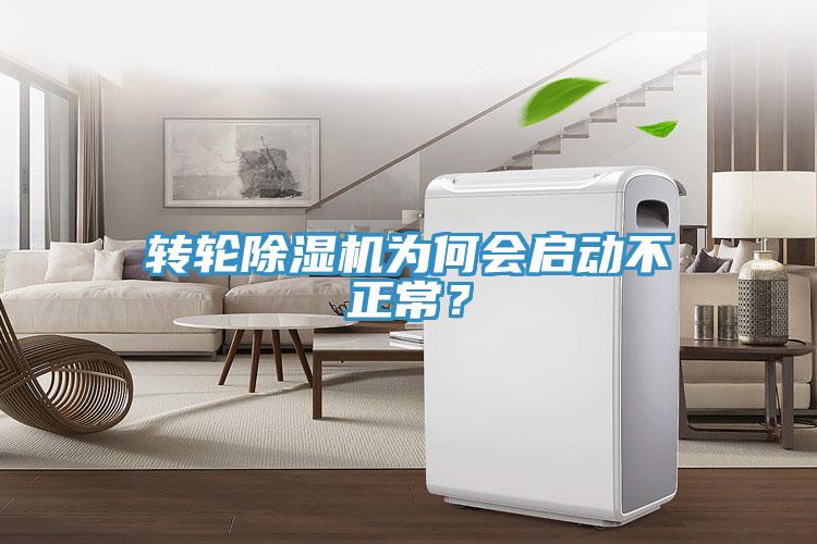 转轮91免费网站在线观看为何会启动不正常？
