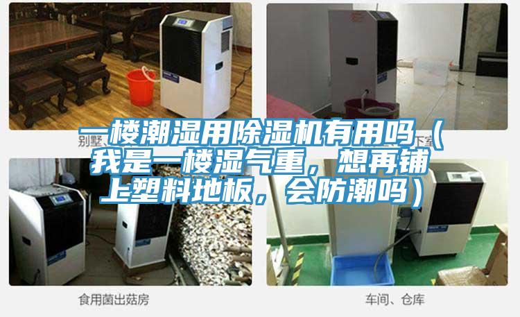 一楼潮湿用91免费网站在线观看有用吗（我是一楼湿气重，想再铺上塑料地板，会防潮吗）