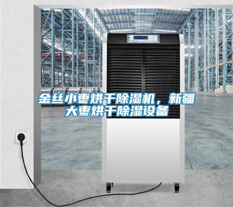 金丝小枣烘干91免费网站在线观看，新疆大枣烘干除湿设备