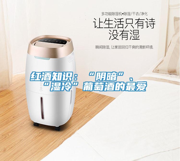红酒知识：“阴暗”、“湿冷”葡萄酒的最爱