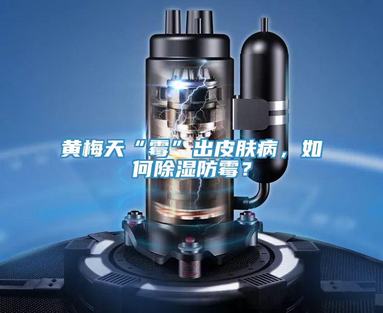 黄梅天“霉”出皮肤病，如何除湿防霉？