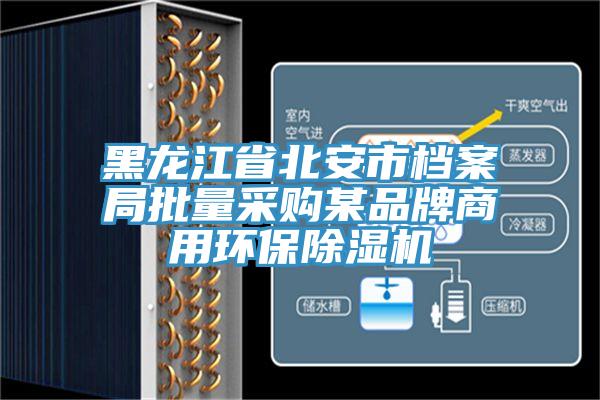 黑龙江省北安市档案局批量采购某品牌商用环保91免费网站在线观看