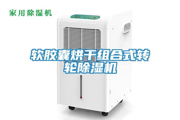 软胶囊烘干组合式转轮91免费网站在线观看