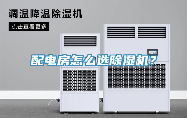 配电房怎么选91免费网站在线观看？