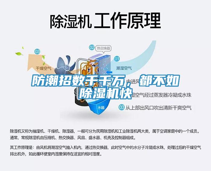 防潮招数千千万，都不如91免费网站在线观看快