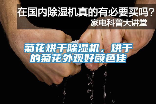 菊花烘干91免费网站在线观看，烘干的菊花外观好颜色佳