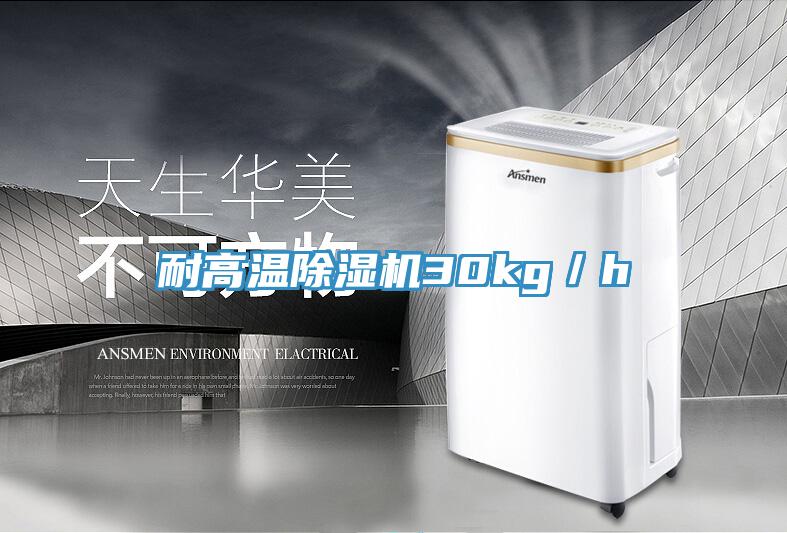 耐高温91免费网站在线观看30kg／h