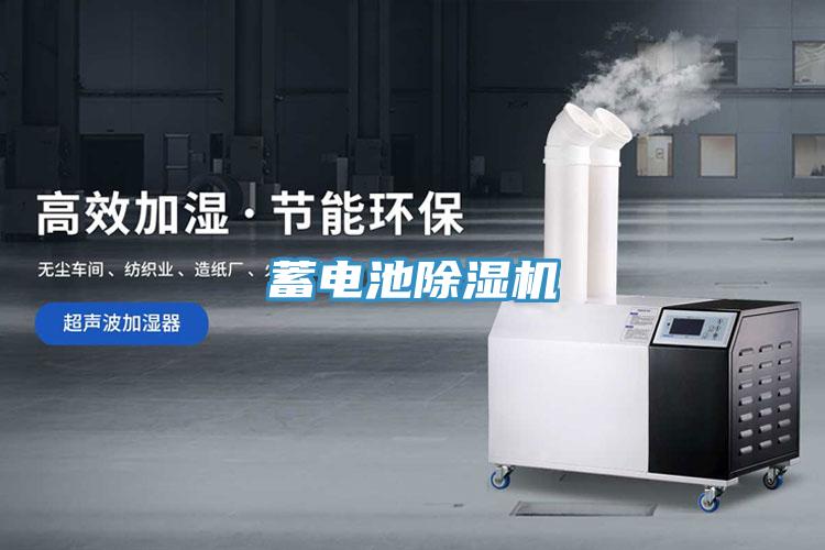 蓄电池91免费网站在线观看