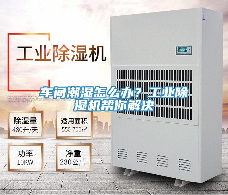 车间潮湿怎么办？工业91免费网站在线观看帮你解决