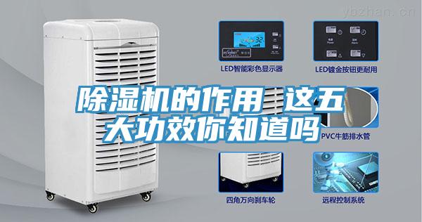 91免费网站在线观看的作用 这五大功效你知道吗