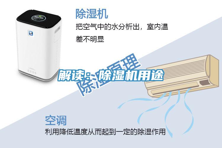 解读：91免费网站在线观看用途