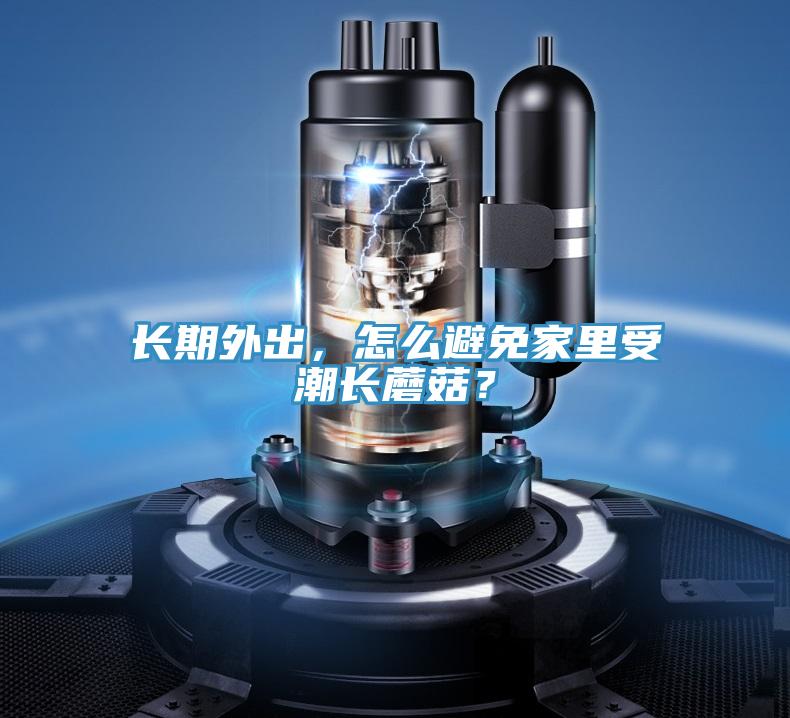长期外出，怎么避免家里受潮长蘑菇？