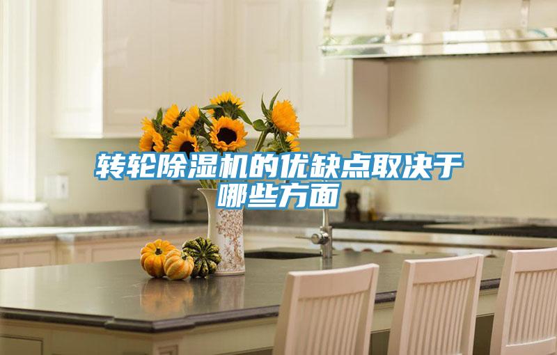 转轮91免费网站在线观看的优缺点取决于哪些方面