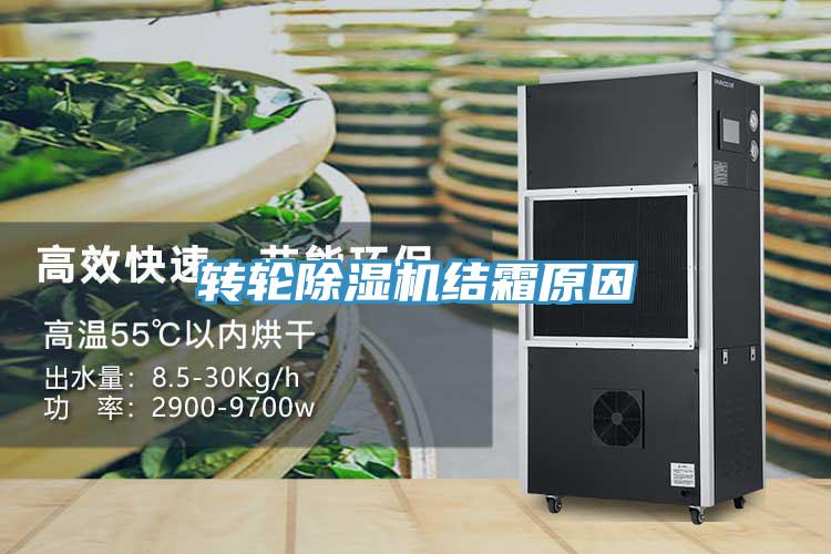 转轮91免费网站在线观看结霜原因