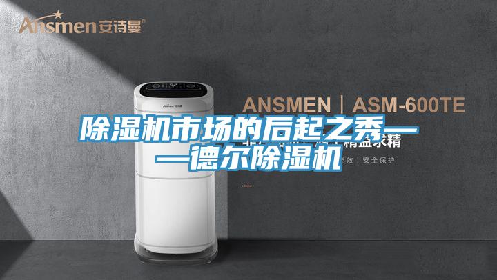 91免费网站在线观看市场的后起之秀——德尔91免费网站在线观看