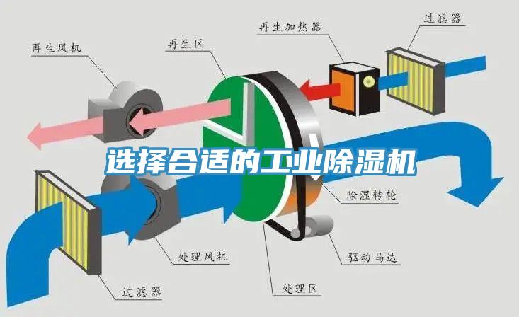 选择合适的工业91免费网站在线观看