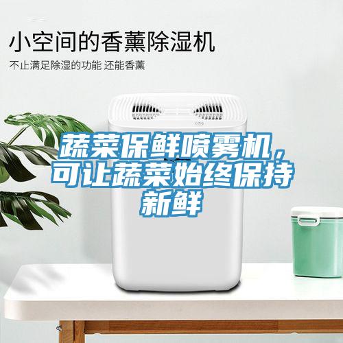 蔬菜保鲜喷雾机，可让蔬菜始终保持新鲜