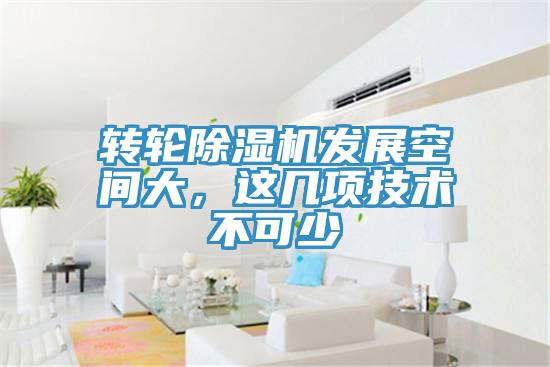 转轮91免费网站在线观看发展空间大，这几项技术不可少