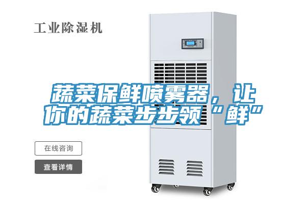 蔬菜保鲜喷雾器，让你的蔬菜步步领“鲜”