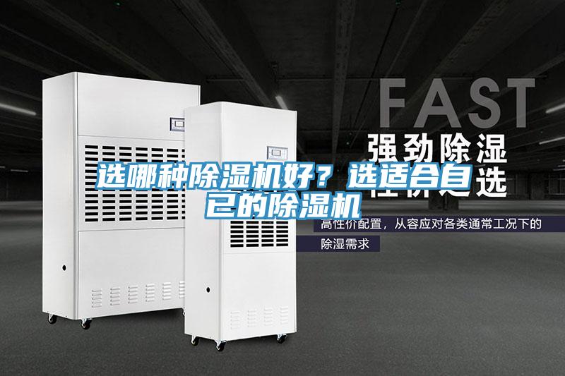 选哪种91免费网站在线观看好？选适合自已的91免费网站在线观看